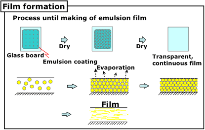 Characteristic of polymer emulsion