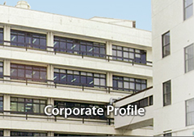 Corporate Profile