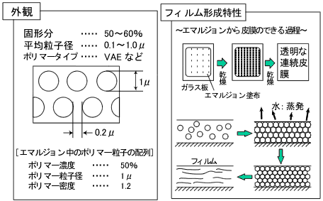 合成樹脂エマルジョンの特性