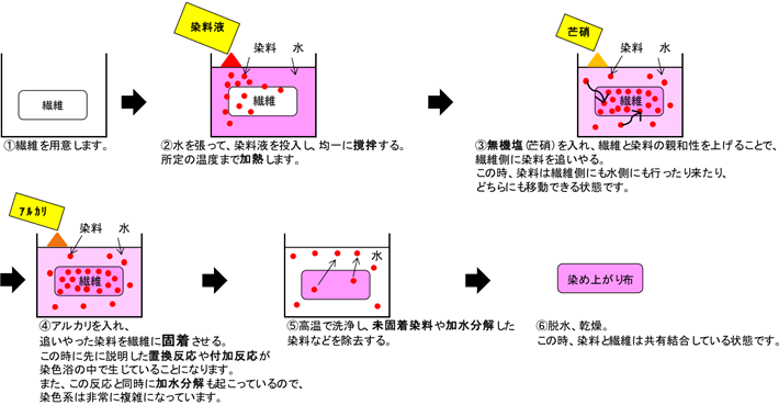 シリーズ住友化学のセルロース系繊維用反応染料「Sumifix®」 | 住化ケムテックス